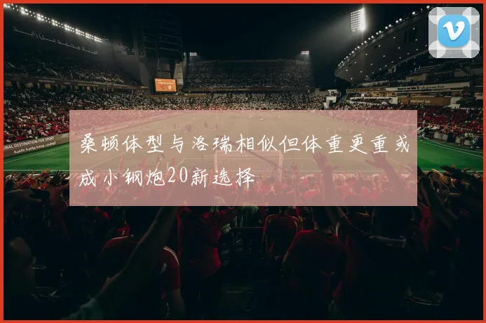 桑顿体型与洛瑞相似但体重更重或成小钢炮20新选择